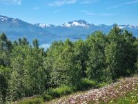 Blick über den Ofoltfjord nach Narvik