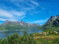 Lofoten - Austnesfjord (Insel Austvågøya)