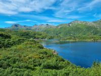 Lofoten - Austnesfjord (Insel Austvågøya)