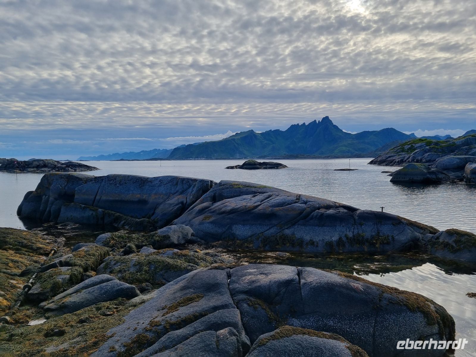 Statles Rorbusenter in Mortsund