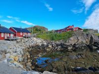 Statles Rorbusenter in Mortsund