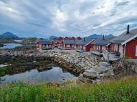 Statles Rorbusenter in Mortsund