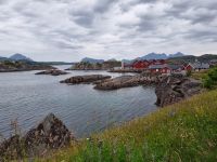 Statles Rorbusenter in Mortsund