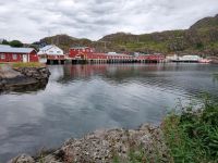 Statles Rorbusenter in Mortsund