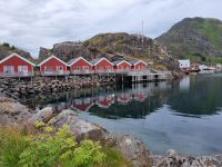 Statles Rorbusenter in Mortsund