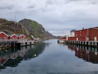 Statles Rorbusenter in Mortsund