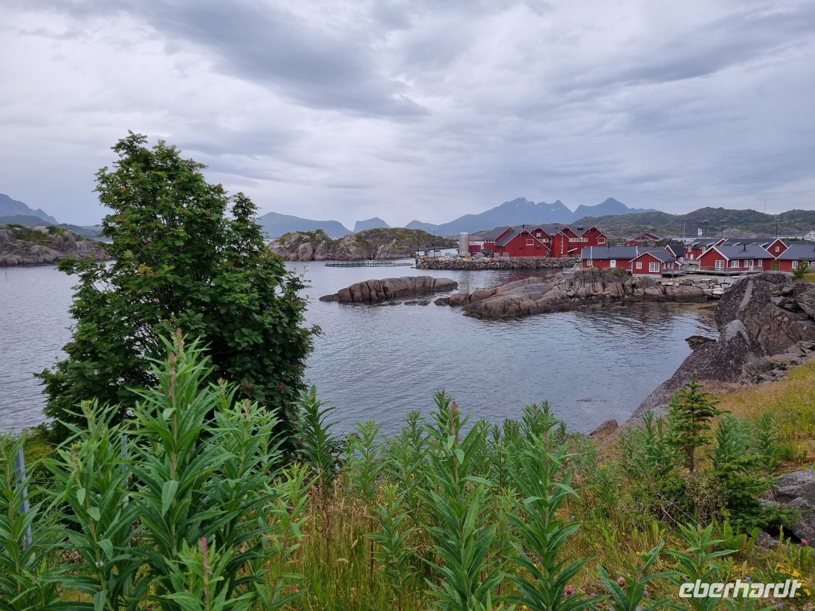 Statles Rorbusenter in Mortsund