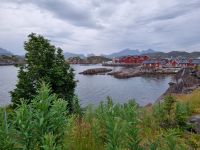 Statles Rorbusenter in Mortsund