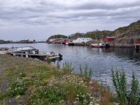 Statles Rorbusenter in Mortsund