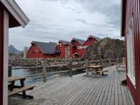 Statles Rorbusenter in Mortsund