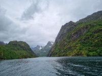 Trollfjord 