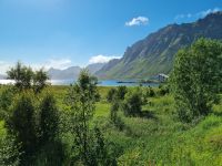 Lofoten - Gimsøystraumen Brücke