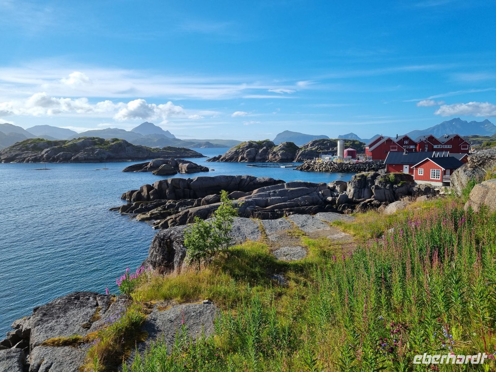 Statles Rorbusenter in Mortsund