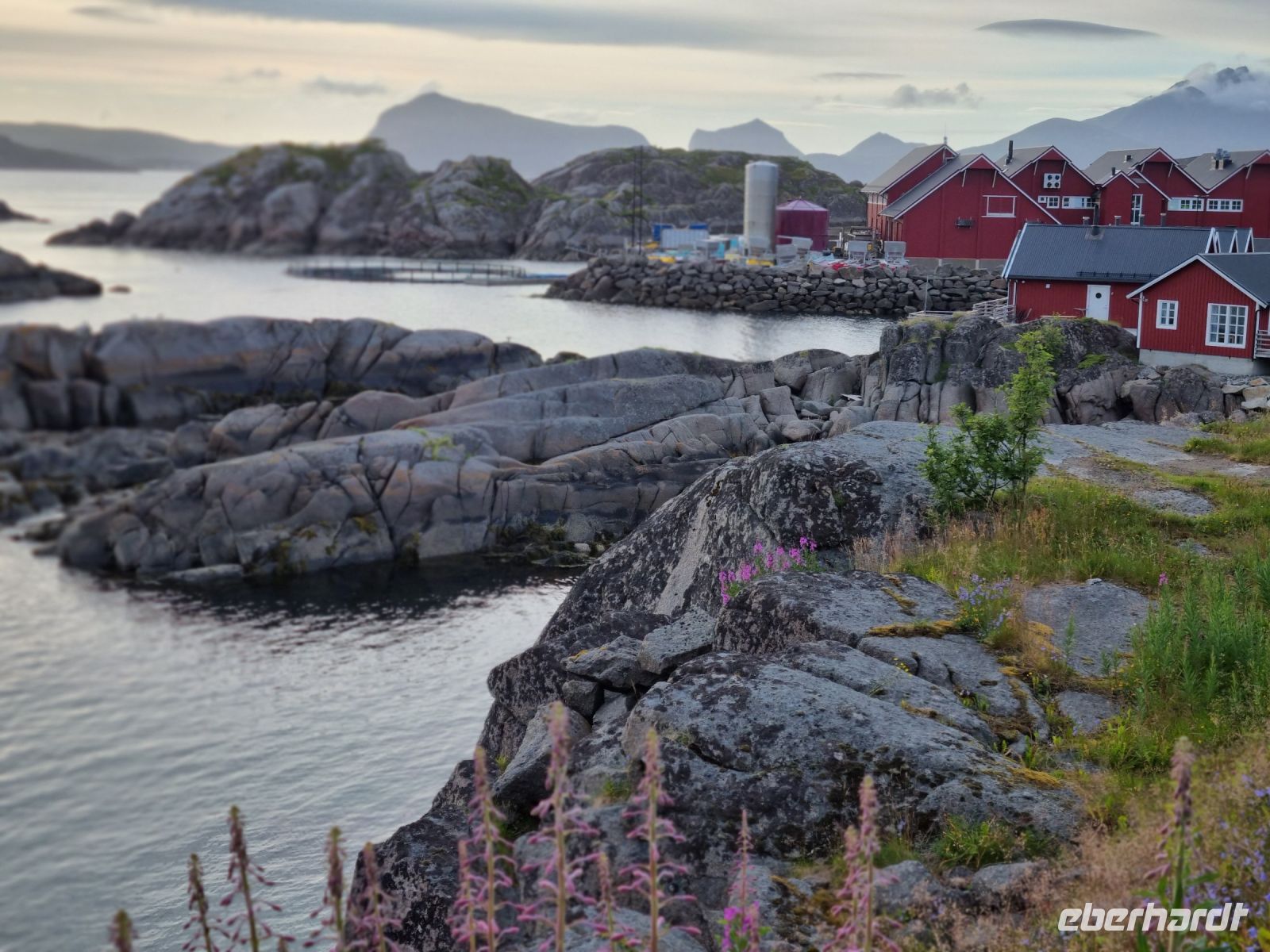 Statles Rorbusenter in Mortsund