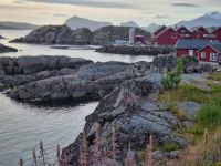 Statles Rorbusenter in Mortsund