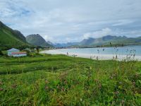 Lofoten (Insel Flakstadøy) - Strand von Ramberg