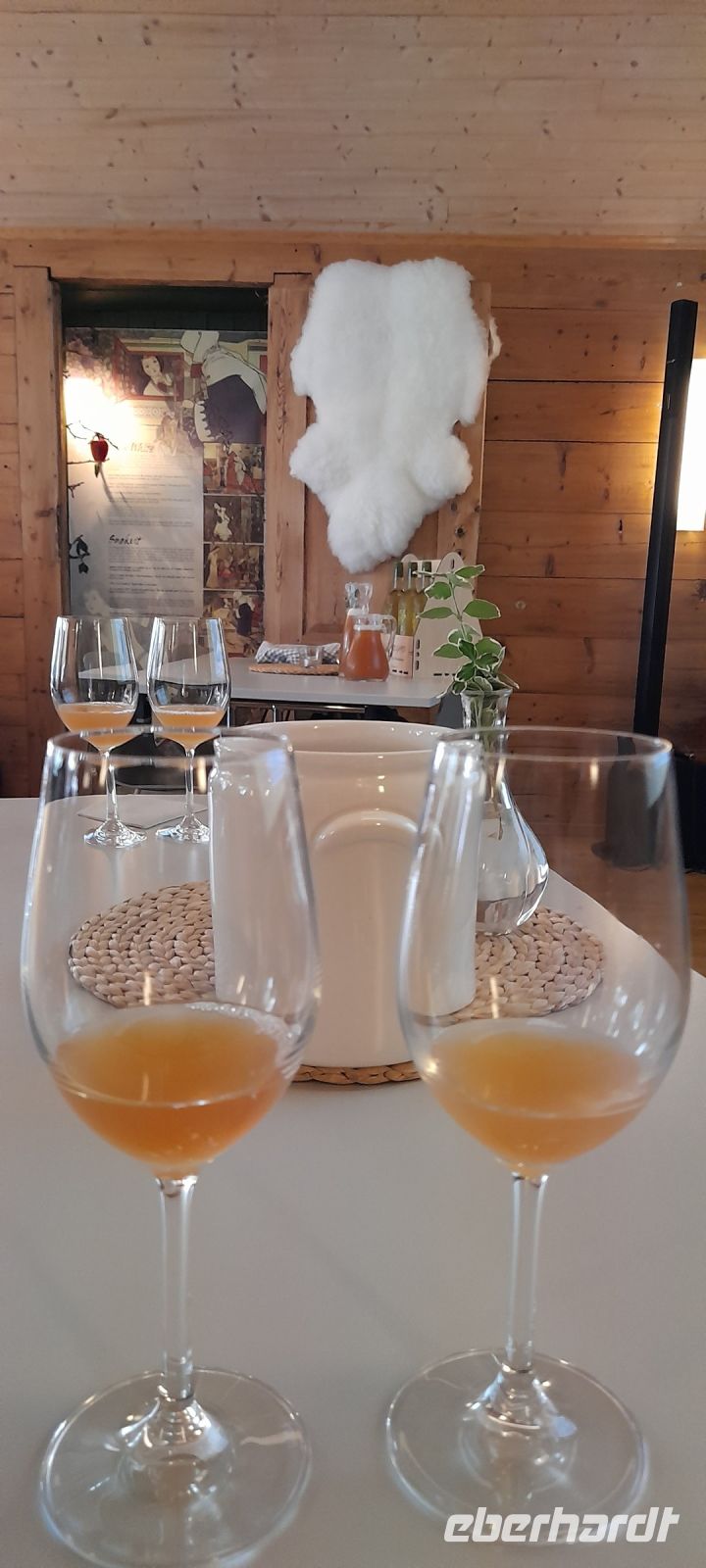 Syse Gard Ulvik Apfelcider Verkostung 