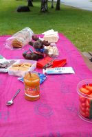 Picknick in Flam