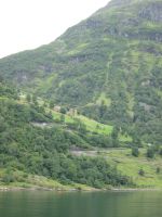 Teil der Adlerstraße 