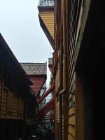 Bergen: Brygge