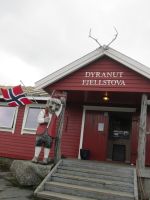 Hardangervidda auf 1300 m