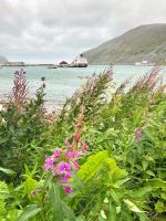 Tag 6 - Kjøllefjord