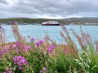 Tag 6 - Kjøllefjord