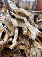 Tag 8 - Stockfisch.jpg