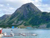 Tag 8 - Øksfjord.jpg