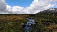 202 Dovrefjell