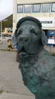 Armeehund Bamse in Honningsvåg