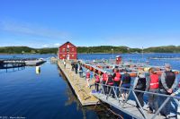 Lachsfarm in Brønnøysund
