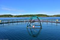 Lachsfarm in Brønnøysund