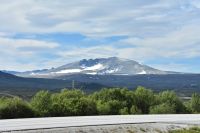 Norwegen - Snøhetta im Dovrefjell-Nationalpark