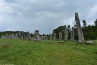 Schiffssetzung von Blomsholm