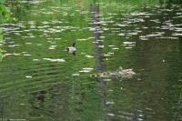 Lillehammer - Freilichtmuseum Maihaugen