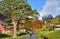 Urke am Norangsfjord (Hjørundfjord, Storfjord)