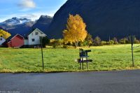 Urke am Norangsfjord (Hjørundfjord, Storfjord)