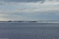 Insel-Archipel im Tarvafjord (Teilgebiet des Frohavet)