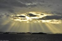 Insel-Archipel im Tarvafjord (Teilgebiet des Frohavet)