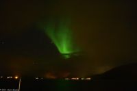 Frei nach dem Motto - 