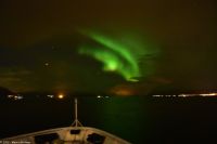 Frei nach dem Motto - 