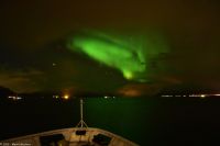 Frei nach dem Motto - 