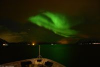 Frei nach dem Motto - 