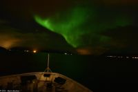 Frei nach dem Motto - 