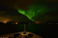 Frei nach dem Motto - 