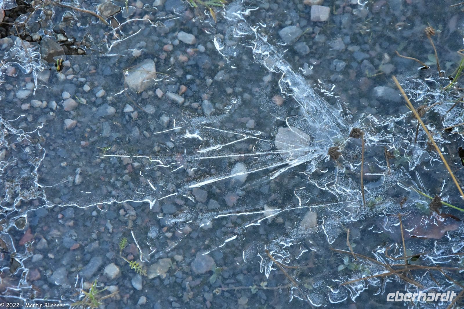 Väterchen Frost am Beginn der sibirischen Taiga, die sich von hier bis zum Pazifik erstreckt