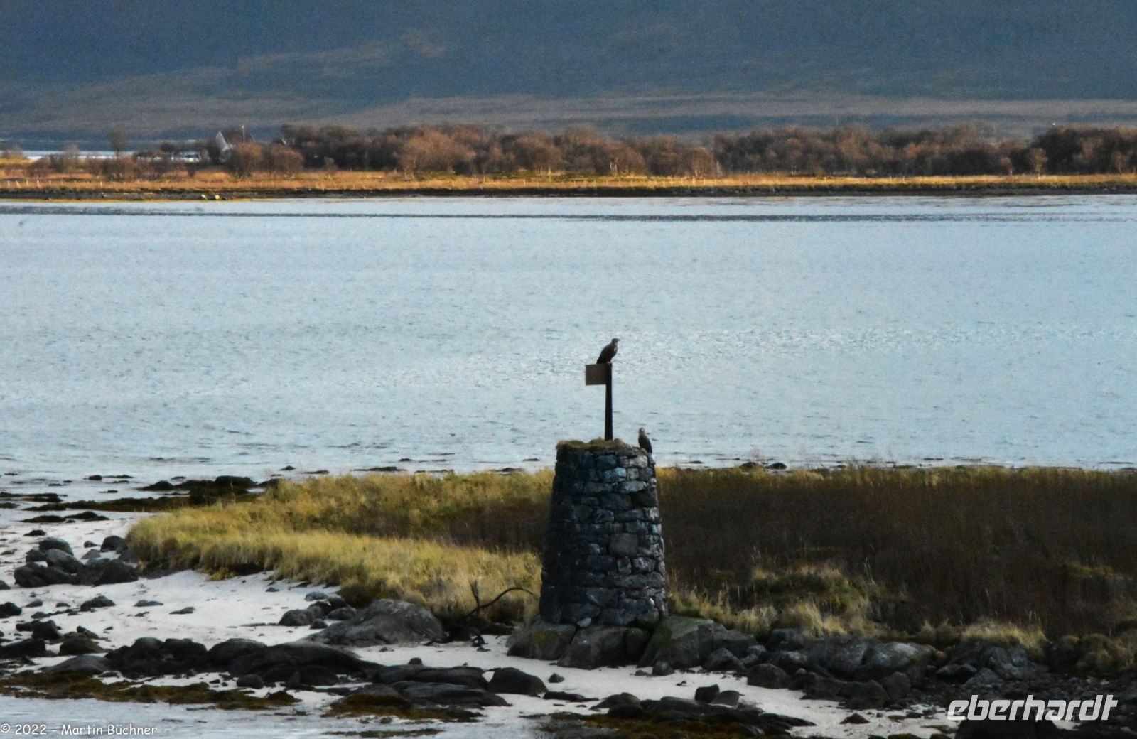Zwei Seeadler auf einer historischen Varde in der Risøyhamnrinne - der flachsten Stelle der Hurtigruten-Strecke