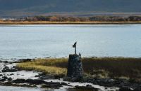 Zwei Seeadler auf einer historischen Varde in der Risøyhamnrinne - der flachsten Stelle der Hurtigruten-Strecke