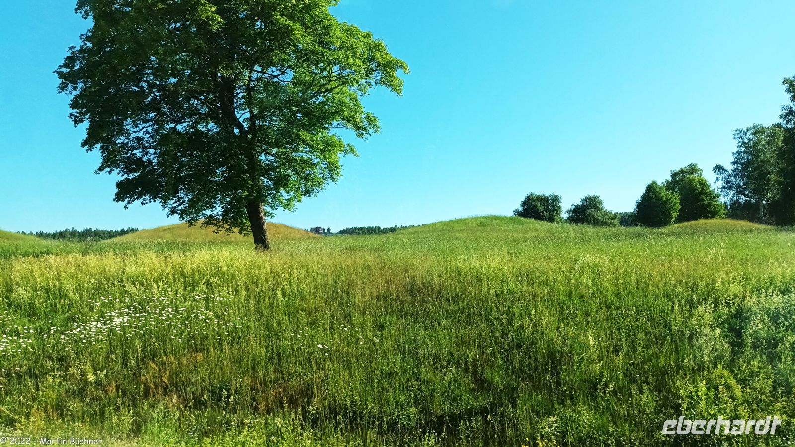 Hügelgräber im Gräberfeld von Högom in der Stadt Sundsvall